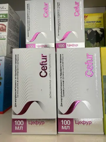 Цефур / Cefur